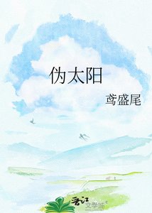 伪太阳